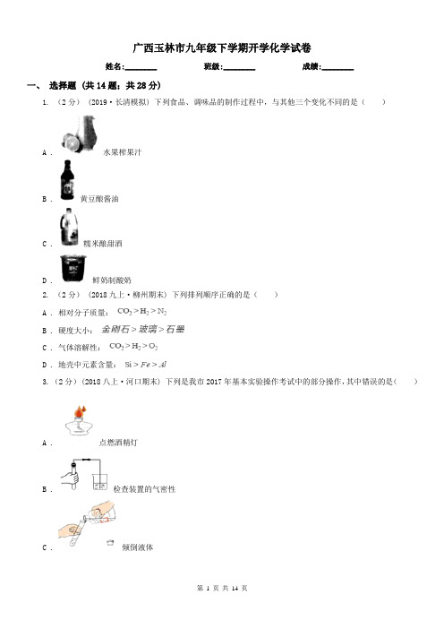 广西玉林市九年级下学期开学化学试卷