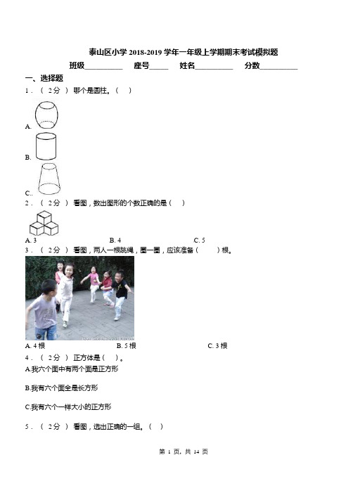 泰山区小学2018-2019学年一年级上学期期末考试模拟题