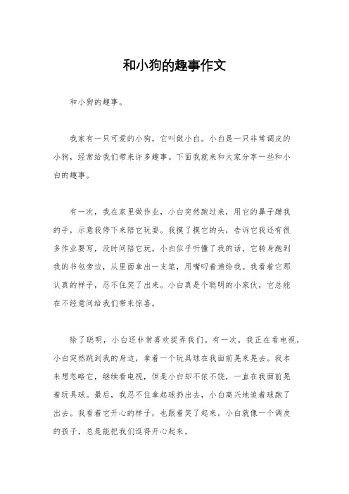 和小狗的趣事作文