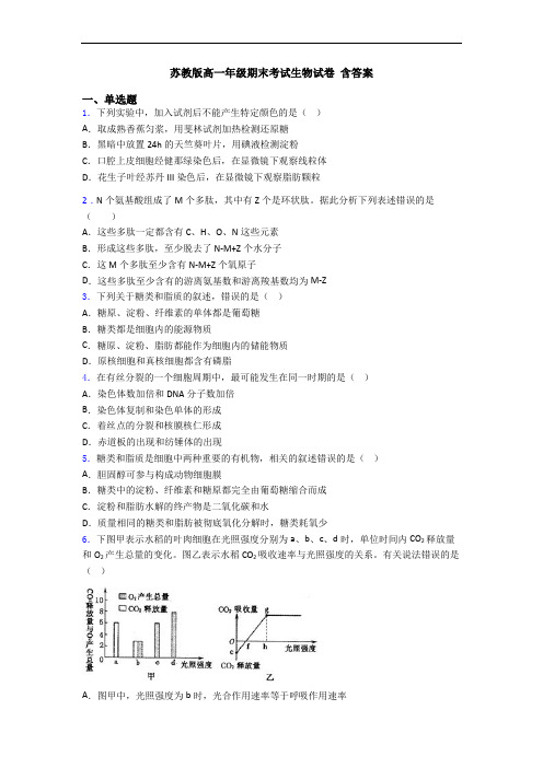 苏教版高一年级期末考试生物试卷 含答案