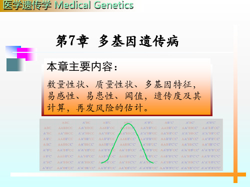 《多基因遗传》PPT课件