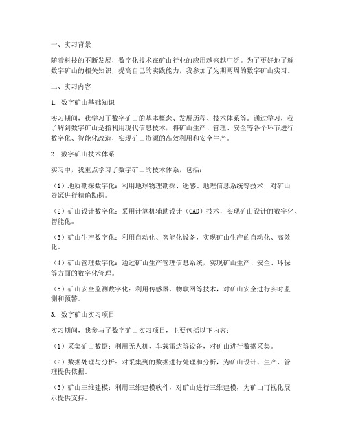 数字矿山实习报告