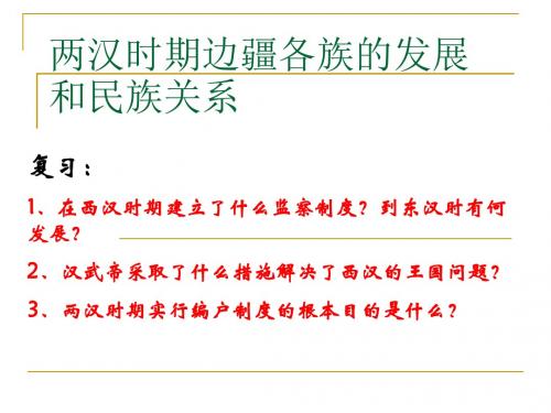 高三历史两汉时期边疆各族的发展和民族关系人教版