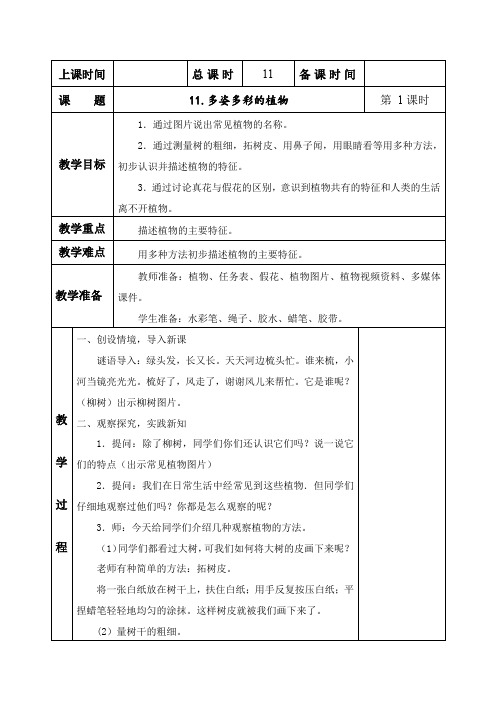 科学一年级下册《多姿多彩的植物》教案