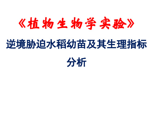 5逆境胁迫水稻幼苗及其生理指标分析精品PPT课件