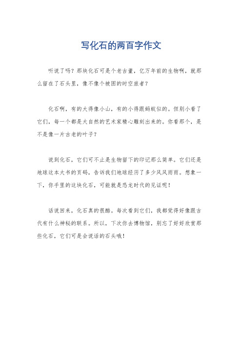 写化石的两百字作文