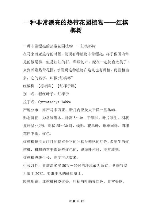 一种非常漂亮的热带花园植物——红槟榔树