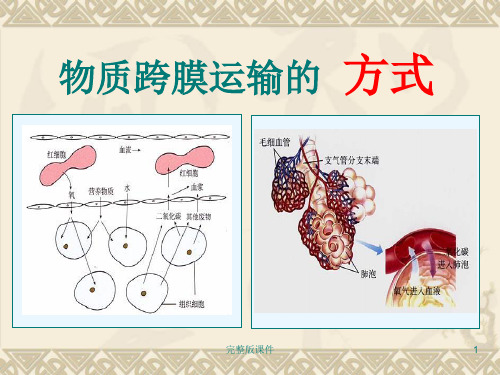 物质跨膜运输的方式.讲pptppt课件