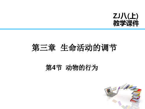 2024版浙教版科学八年级上课件 第3章 生命活动的调节 第4节  动物的行为