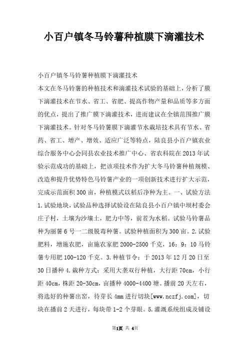 小百户镇冬马铃薯种植膜下滴灌技术