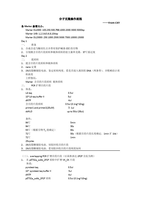 分子克隆操作流程