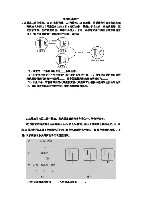 遗传经典题二