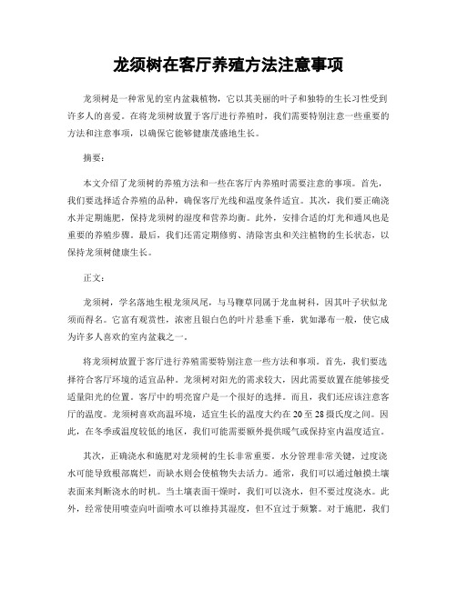 龙须树在客厅养殖方法注意事项