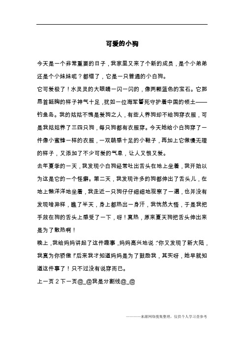 可爱的小狗_24