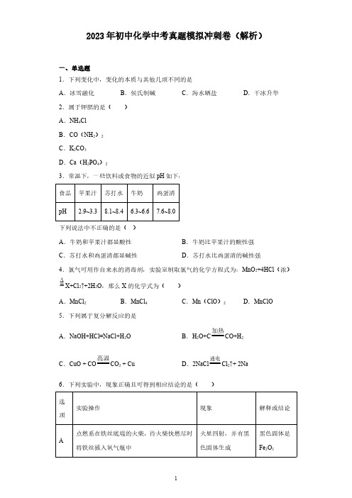 2023年初中化学中考真题模拟冲刺卷(解析)