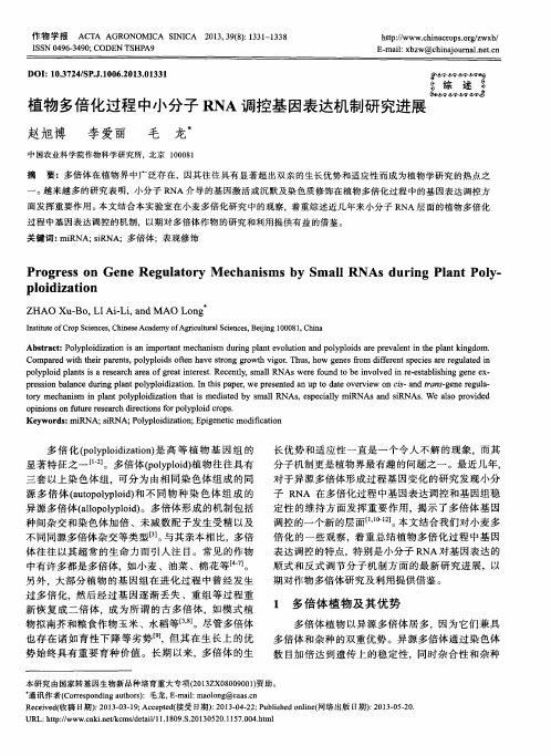 植物多倍化过程中小分子RNA调控基因表达机制研究进展