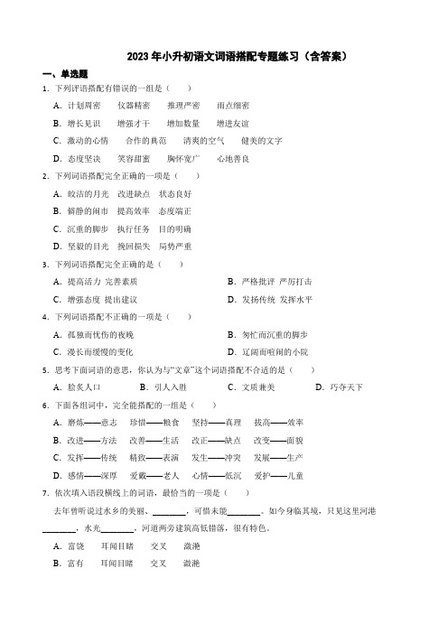 2023年小升初语文词语搭配专题练习(含答案)