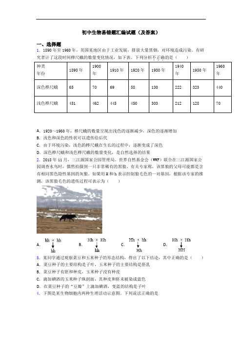 初中生物易错题汇编试题(及答案)