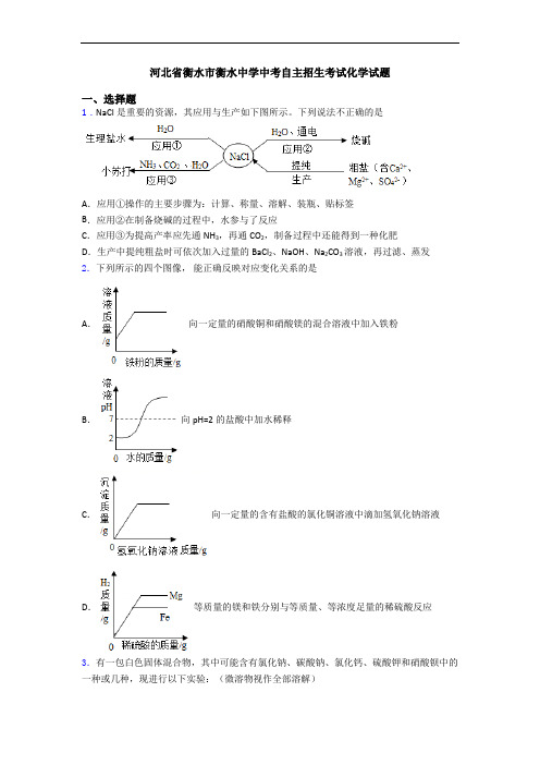 河北省衡水市衡水中学中考自主招生考试化学试题