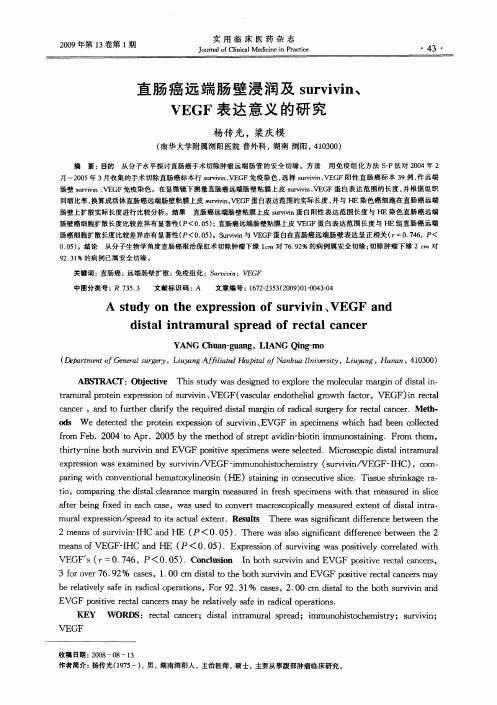 直肠癌远端肠壁浸润及survivin、VEGF表达意义的研究