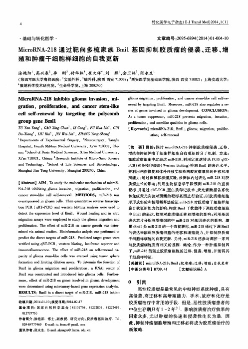 MicroRNA.218通过靶向多梳家族Bmil基因抑制胶质瘤的侵袭、迁移、增殖和肿瘤干细胞样细胞的自我更新