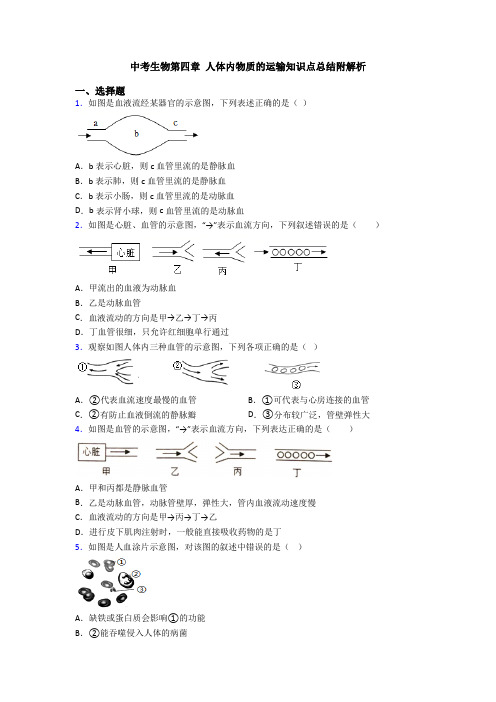 中考生物第四章 人体内物质的运输知识点总结附解析