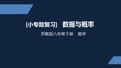 苏教版 中学数学 八年级 下册 小专题 概率与统计 PPT课件