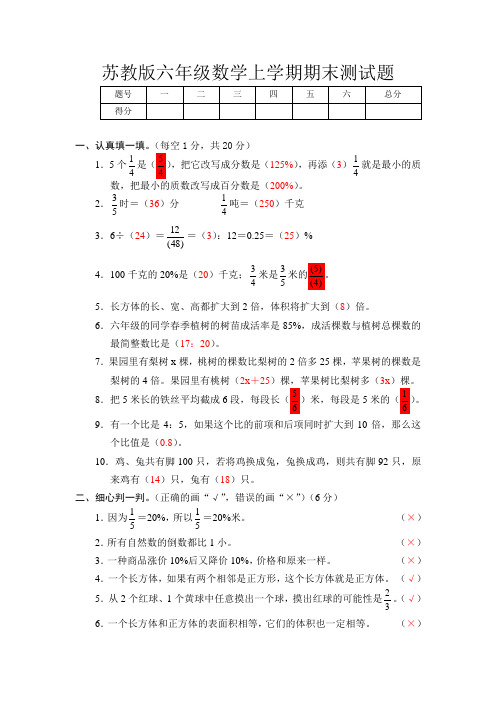 苏教版六年级数学上学期期末测试题