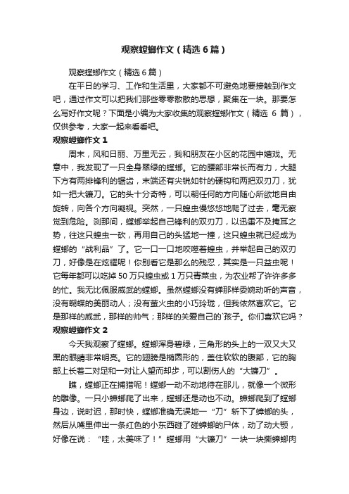 观察螳螂作文（精选6篇）