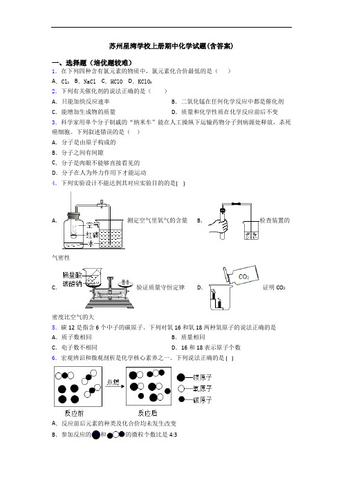 苏州星湾学校上册期中化学试题(含答案)