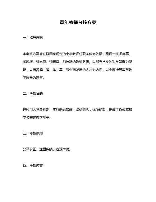 青年教师考核方案