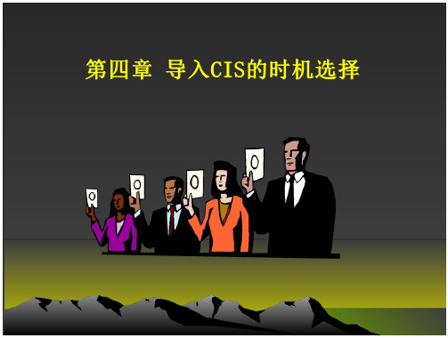 42_企业CIS战略第四章导入CIS的时机选择