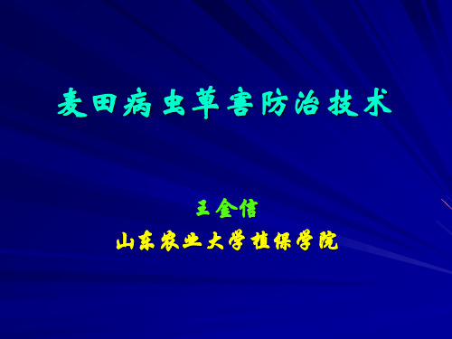 王金信教授：麦田病虫草害防治技术