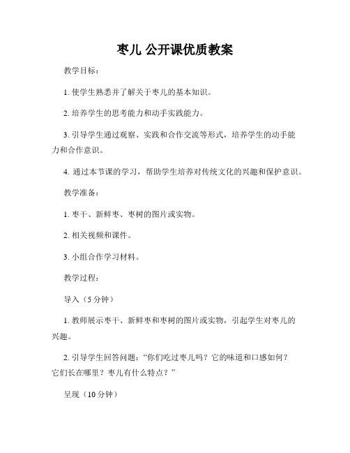 枣儿 公开课优质教案