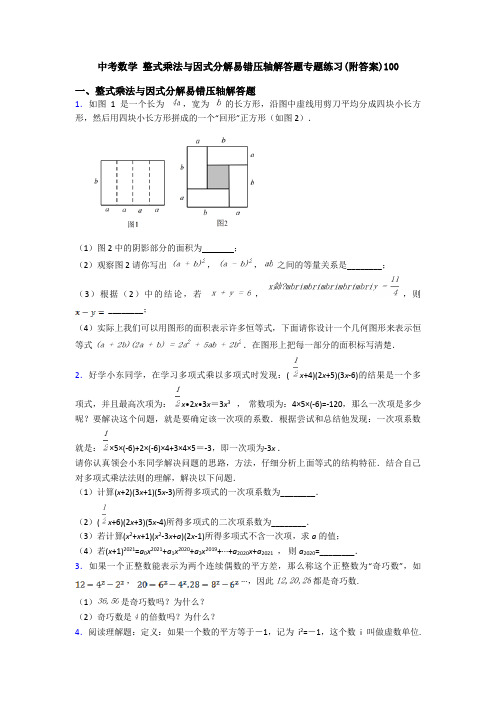 中考数学 整式乘法与因式分解易错压轴解答题专题练习(附答案)100