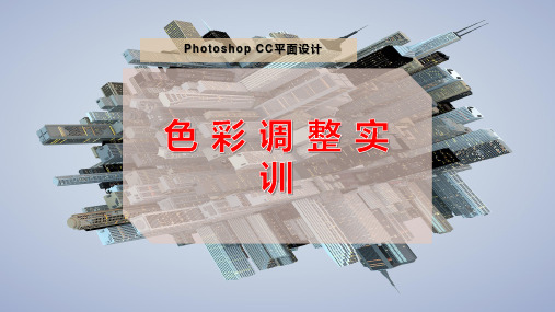 色 彩 调 整 实 训