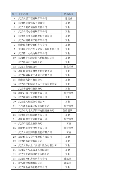 武汉市重点民企名录表