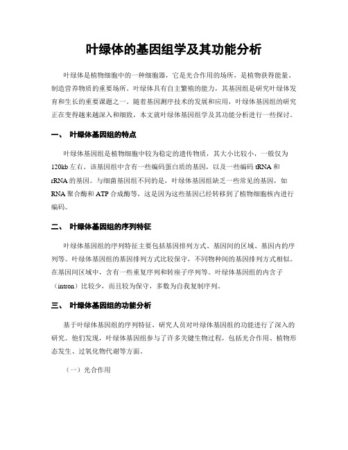 叶绿体的基因组学及其功能分析