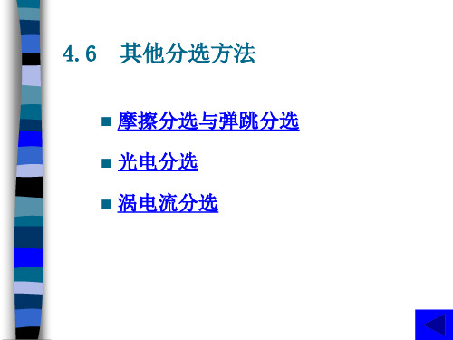 4.6  其他分选方法