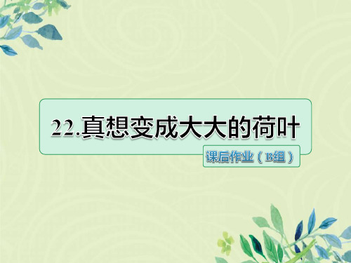 二年级语文下册第8单元第22课《真想变成大大的荷叶》课后作业(B组-提升篇)