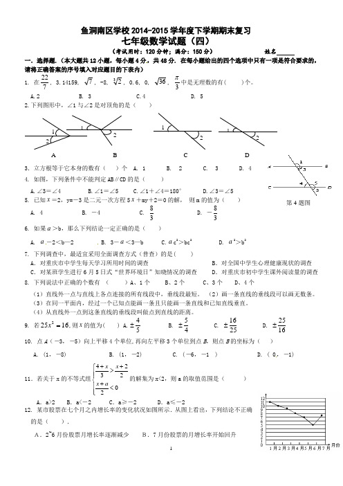 重庆市巴南区鱼洞南区学校2014-2015学年度下学期期末复习七年级数学试题(四)