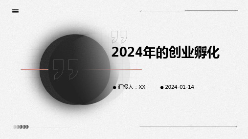 2024年的创业孵化