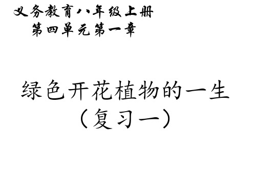 2021年八年级生物中考复习课件：绿色开花植物的一生：花的结构、传粉与受精