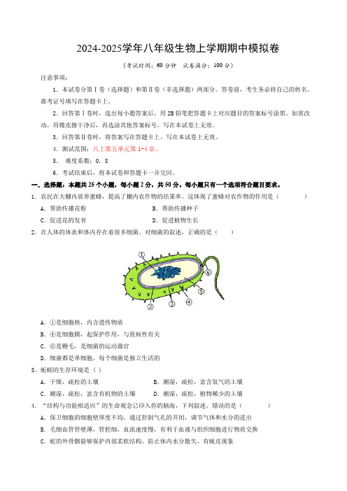 八年级生物期中模拟卷(考试版A4)【测试范围：第1-4章】