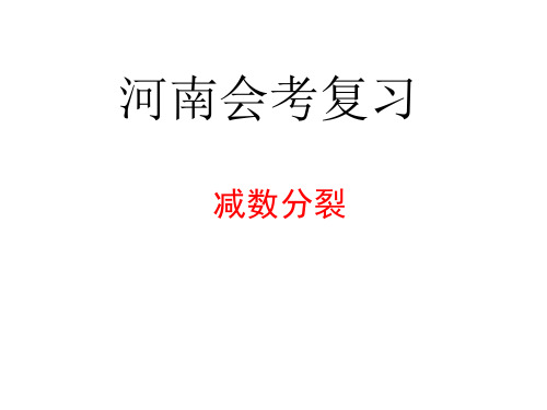 2022年河南省高中生物学业水平测试复习课件(减数分裂)