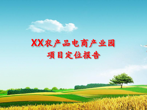 XX农产品电商产业园项目定位报告(2016)PPT课件