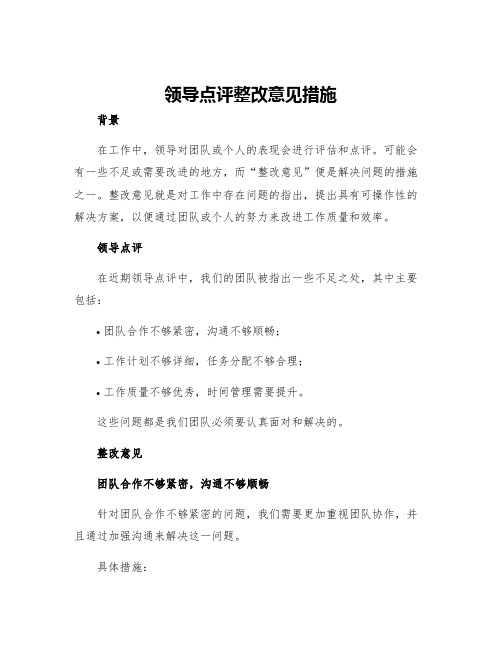 领导点评整改意见措施