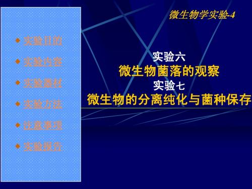 微生物菌落的观察;微生物的分离纯化与菌种保存