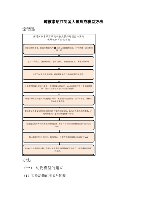 辣椒素纳肛制备大鼠痔疮模型方法