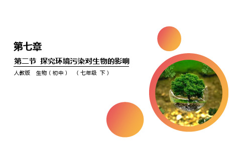 《探究环境污染对生物的影响》PPT精品课件